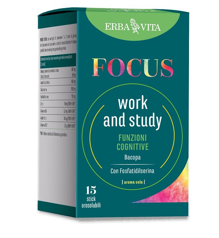 FOCUS WORK AND STUDY 15STICK