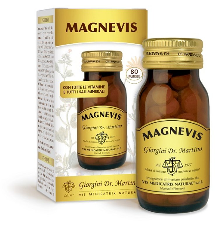MAGNEVIS 80PAST GIORGINI MAGNEVIS 80PAST GIORGINI