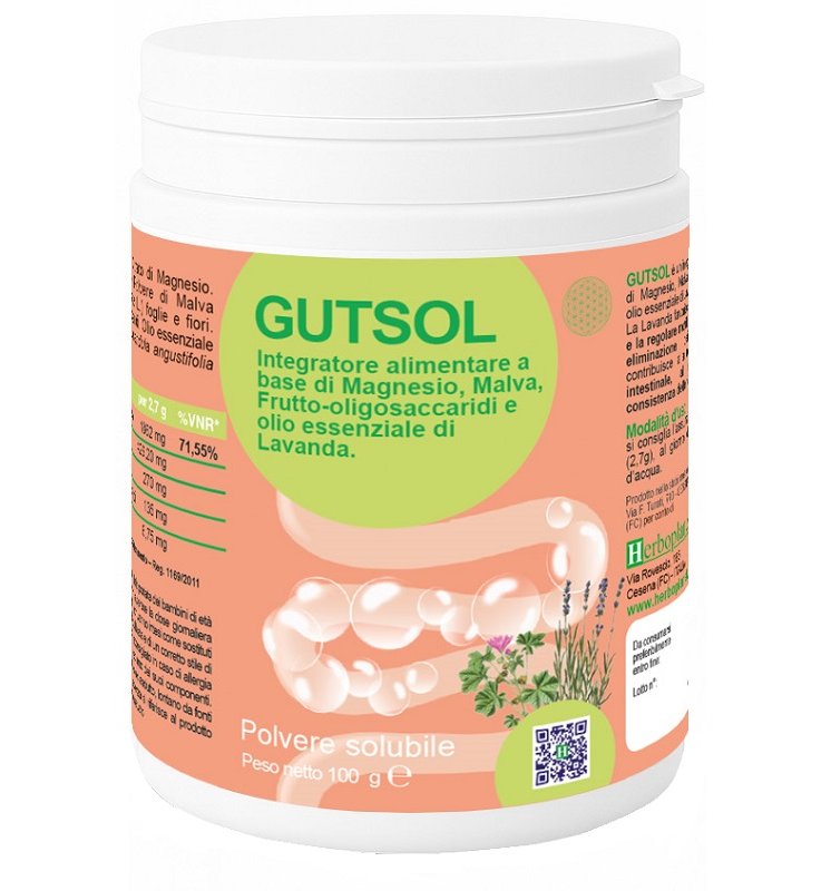 GUTSOL 100G