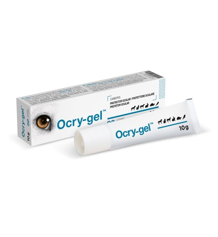 OCRY GEL 10G