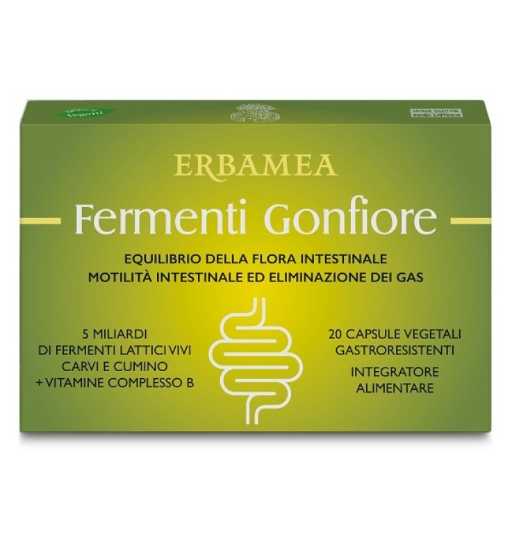 FERMENTI GONFIORE 20 CAPSULE GASTRORESISTENTI