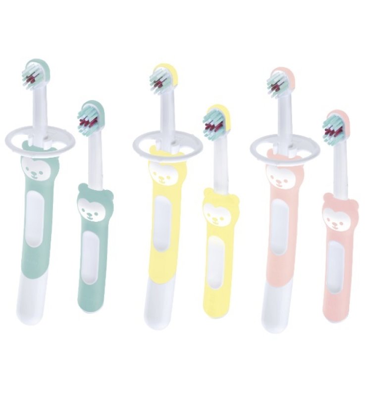 MAM SPAZZ LEARN TO BRUSH