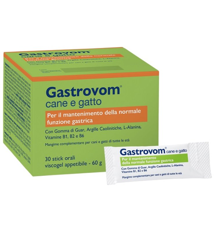V GASTROVOM 30STICK CANE/GATTO