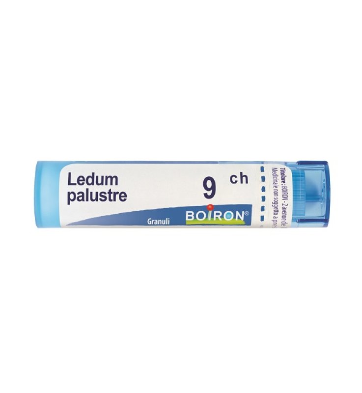 LEDUM PALUSTRE 9 CH GRANULI