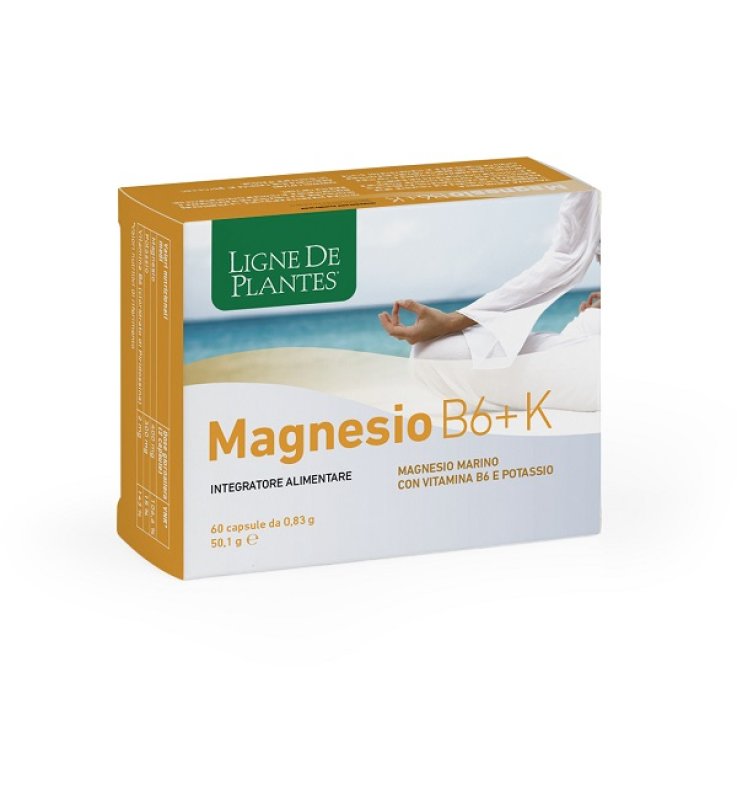 MAGNESIO B6 + K 60CPS
