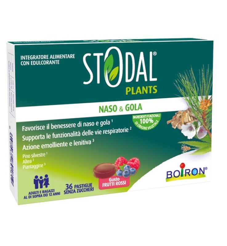 STODAL Plants 36 Past.Fr.Rossi