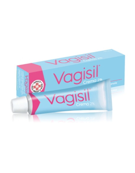 VAGISIL*crema derm 20 g 2%