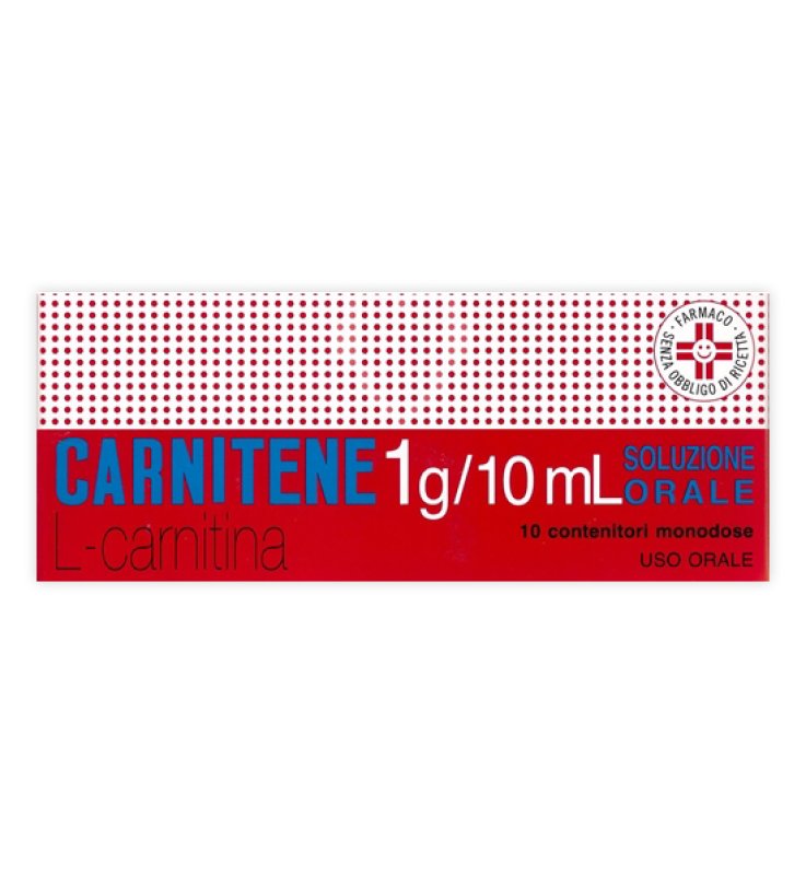 CARNITENE*orale soluz 10 flaconcini 1 g/10 ml