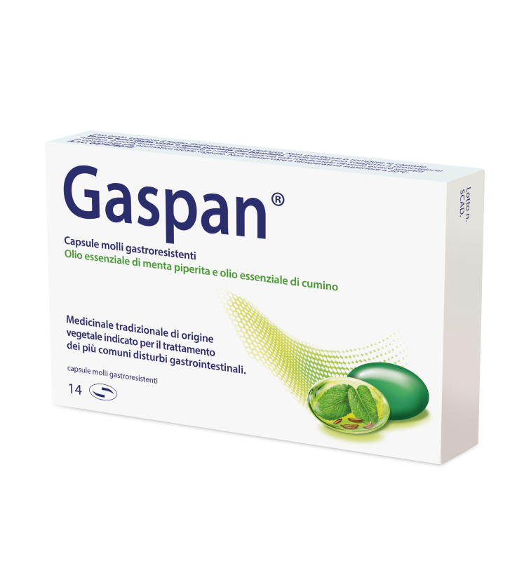 GASPAN*14 cps molli gastrores 90 mg + 50 mg