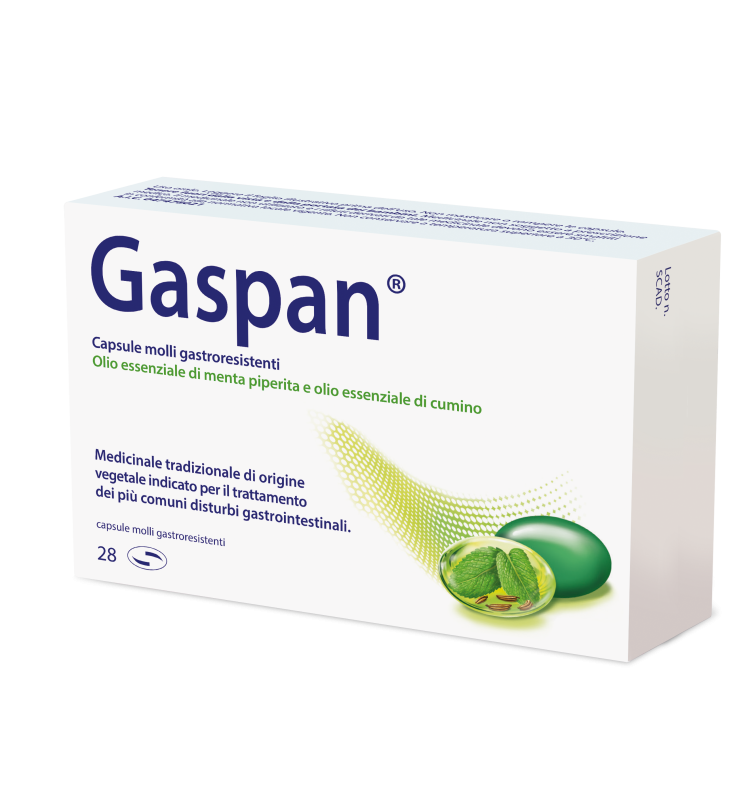 GASPAN*28 cps molli gastrores 90 mg + 50 mg