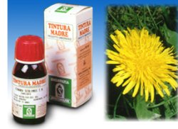 TARASSACO 28 50ML TM SPECCH