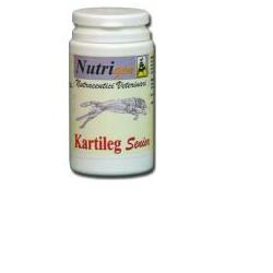 Kartileg Senior: Supporto Articolare per Cani e Gatti Anziani