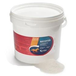 Candioli V Recover 3kg: Reintegratore Elettrolitico per Cavalli