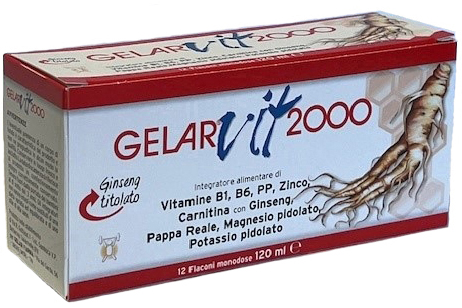 GELARVIT*2000 28fl.10ml