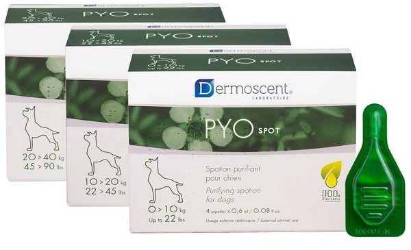 PYO Spot Cane 20-40Kg img 1
