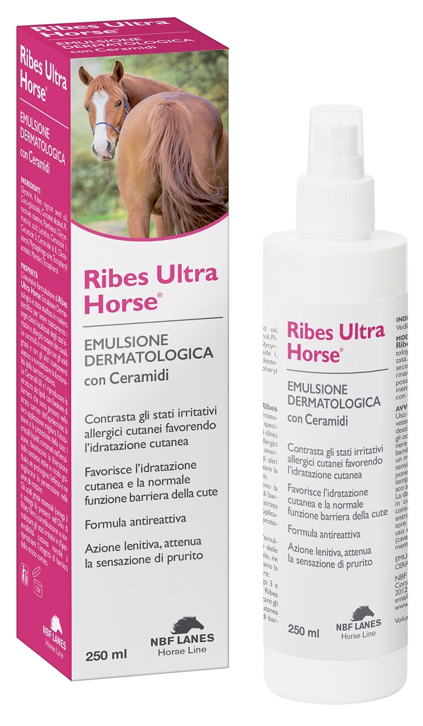 RIBES HORSE EMULSIONE ULTRA img