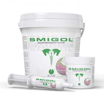 Smigol ACME: Supporto Gastrointestinale per Cani e Gatti
