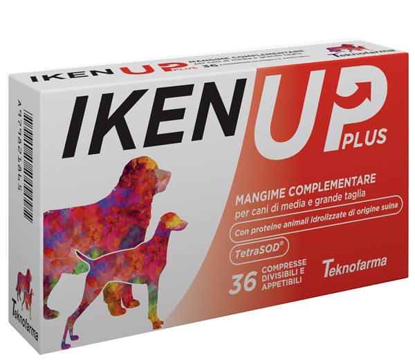 Iken Up Plus Cani Media e Grande Taglia: Recensione