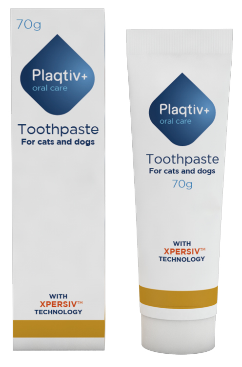 PLAQTIV+Oral Care Dent.70g img 2