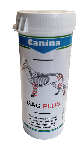 GAGPLUS 100 Compresse: Supporto Articolare per Cani e Gatti