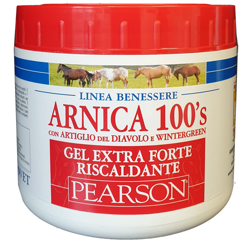 ARNICA 100'S GEL EX FT RISC500 img 1