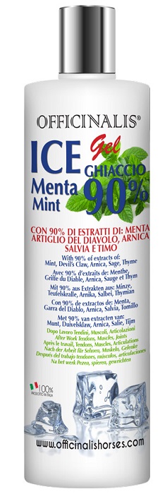 V OFFICINALIS ICE GEL 90% 250ML img