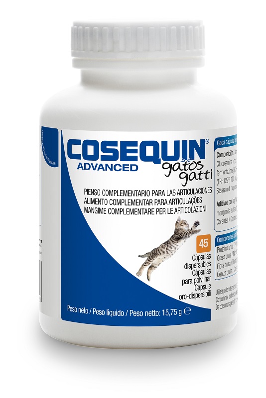 Cosequin Advanced Gatto: Supporto Articolare | MyPawRank