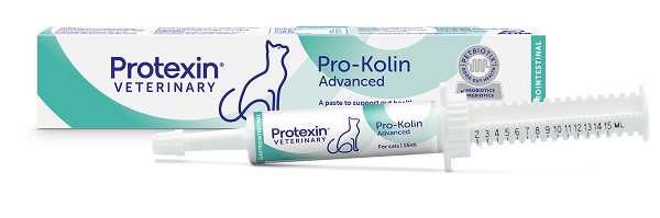 Prokolin Advanced Gatti: Supporto Intestinale e Digestivo